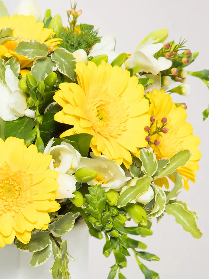Bouquet di gerbere gialle e fiori bianchi dettagli